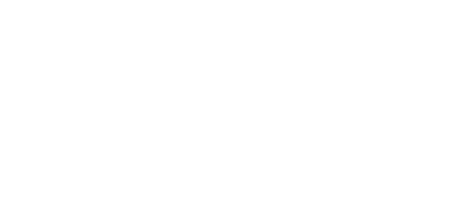 Essência Visual